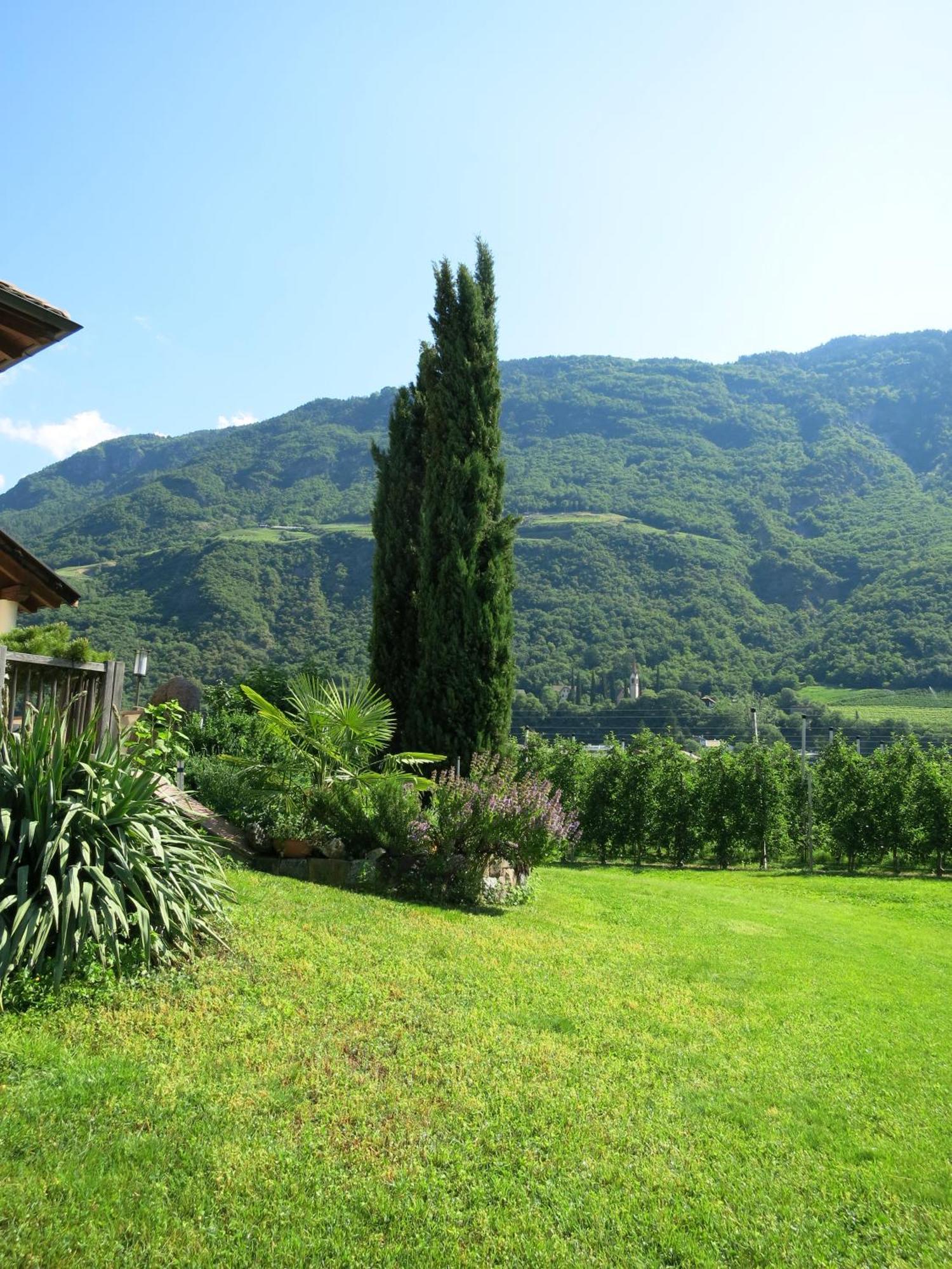 Feldererhof Daire Postal / Burgstall Dış mekan fotoğraf