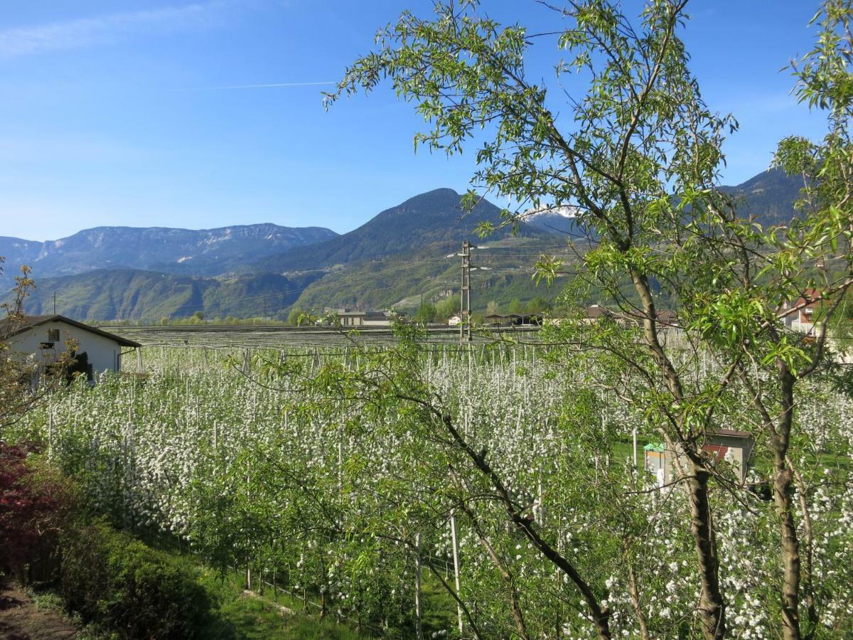 Feldererhof Daire Postal / Burgstall Dış mekan fotoğraf
