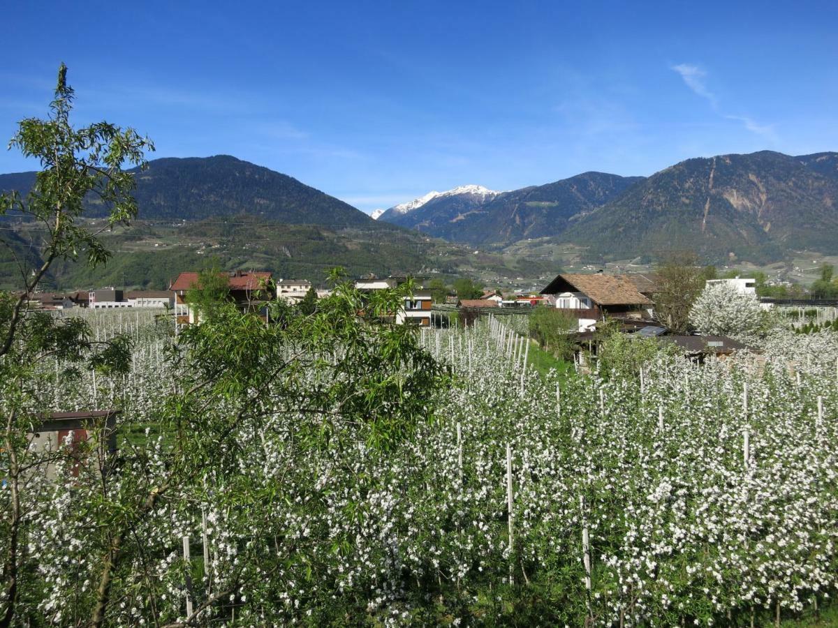 Feldererhof Daire Postal / Burgstall Dış mekan fotoğraf